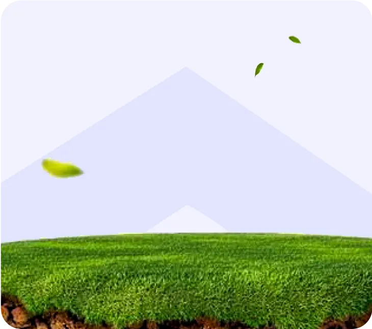 Own Landed Properties